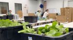 Federal US health officials said lettuce from central Mexico's privately held Taylor Farms was served at Taco Bell locations across five American states and has been identified as a source of the widespread outbreak.
