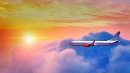 flight