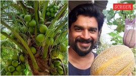 Beyond the silver screen, R Madhavan is an avid organic farmer. He once transformed barren land into a coconut plantation.