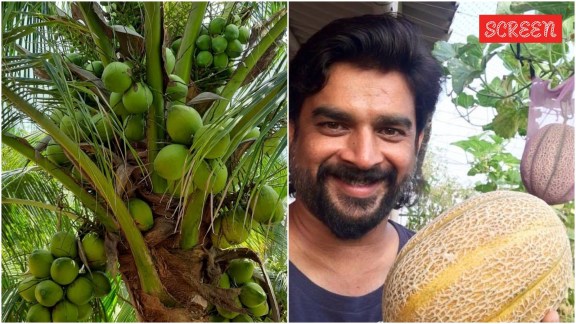 Beyond the silver screen, R Madhavan is an avid organic farmer. He once transformed barren land into a coconut plantation.