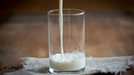 Milk being poured into a glass during quality inspection