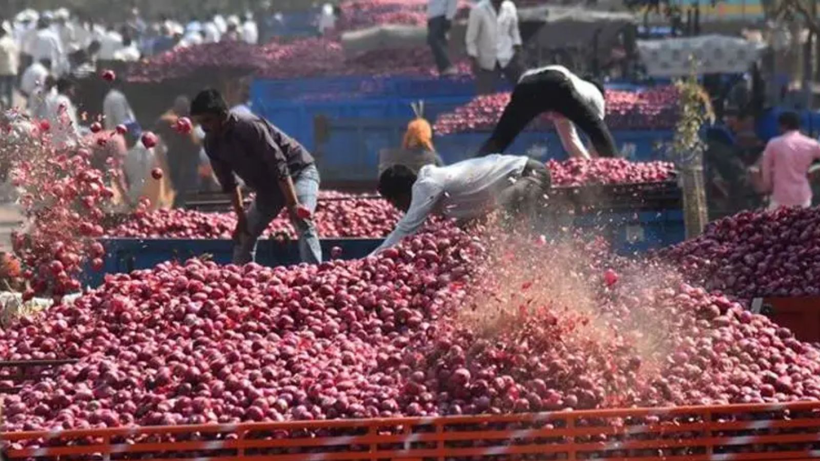 Onion prices soar as wholesale market sees sharp drop in arrivals