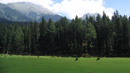 Pahalgam