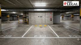 parking case