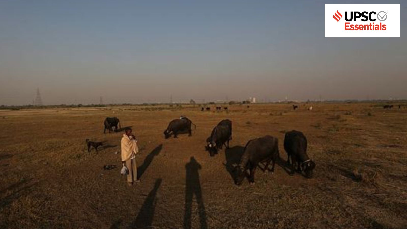 Pastoralism: Is permanent settlement the only path to development?