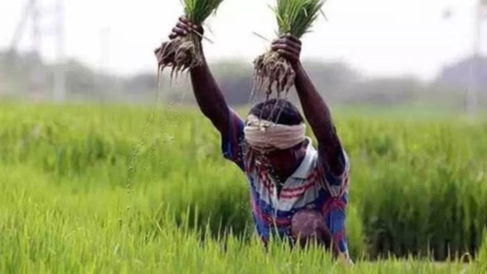 Union Cabinet Approves Five-Year Extension of PM-KISAN Scheme