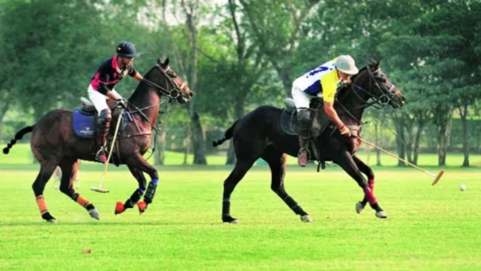 After Gymkhana and Jaipur Polo Ground, another Delhi club faces eviction battle