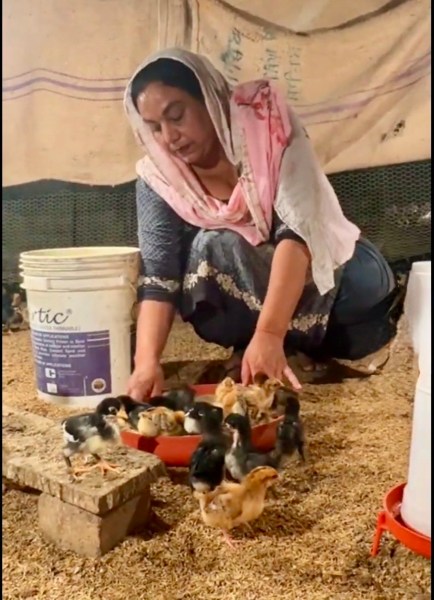 poultry farmer