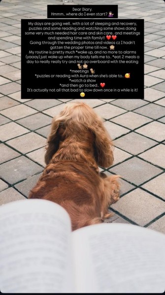 Rashmika Mandanna's Instagram Story