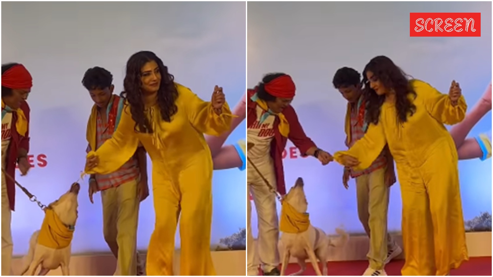 Raveena Tandon nearly bitten by dog at Ohh My Dog screening—here is what actually happened