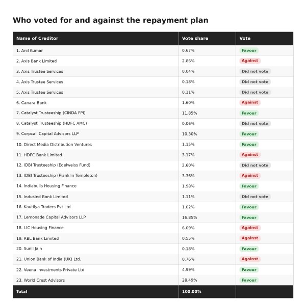Voting for the repayment plan