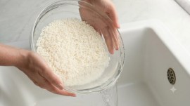 rice