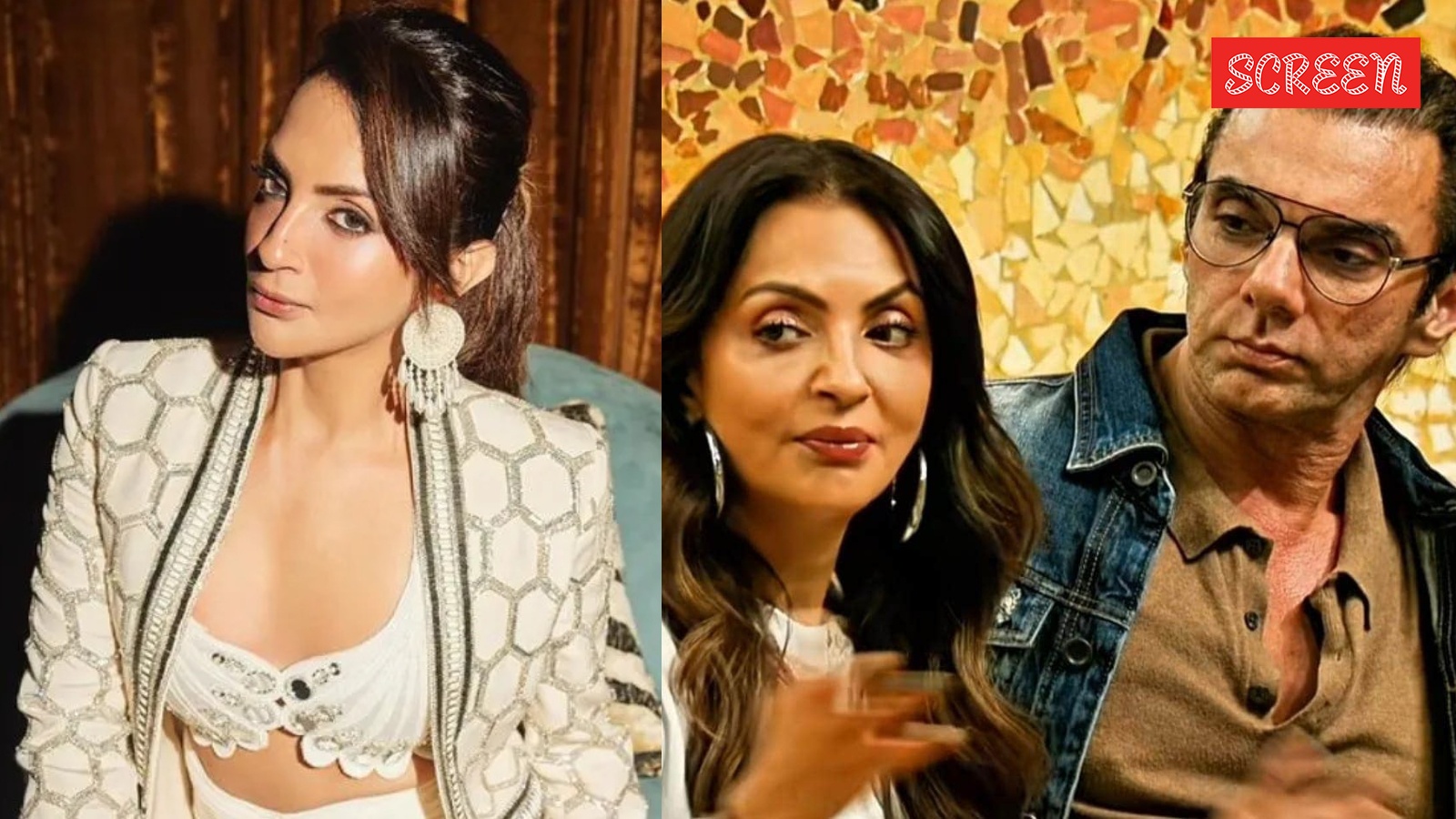 Sohail Khan’s ex-wife Seema Sajdeh says she’s happy going home to her dogs: ‘Self sufficient’