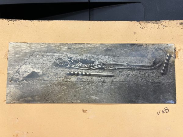 The skeleton was recovered during excavations at Rajghat, an archaeological site in the middle Ganga Valley, in 1957. (Special arrangement)