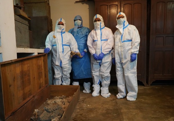-On Tuesday, the wooden box was opened and a team of experts specialising in ancient DNA collected samples from the skeleton. (Express Photo)