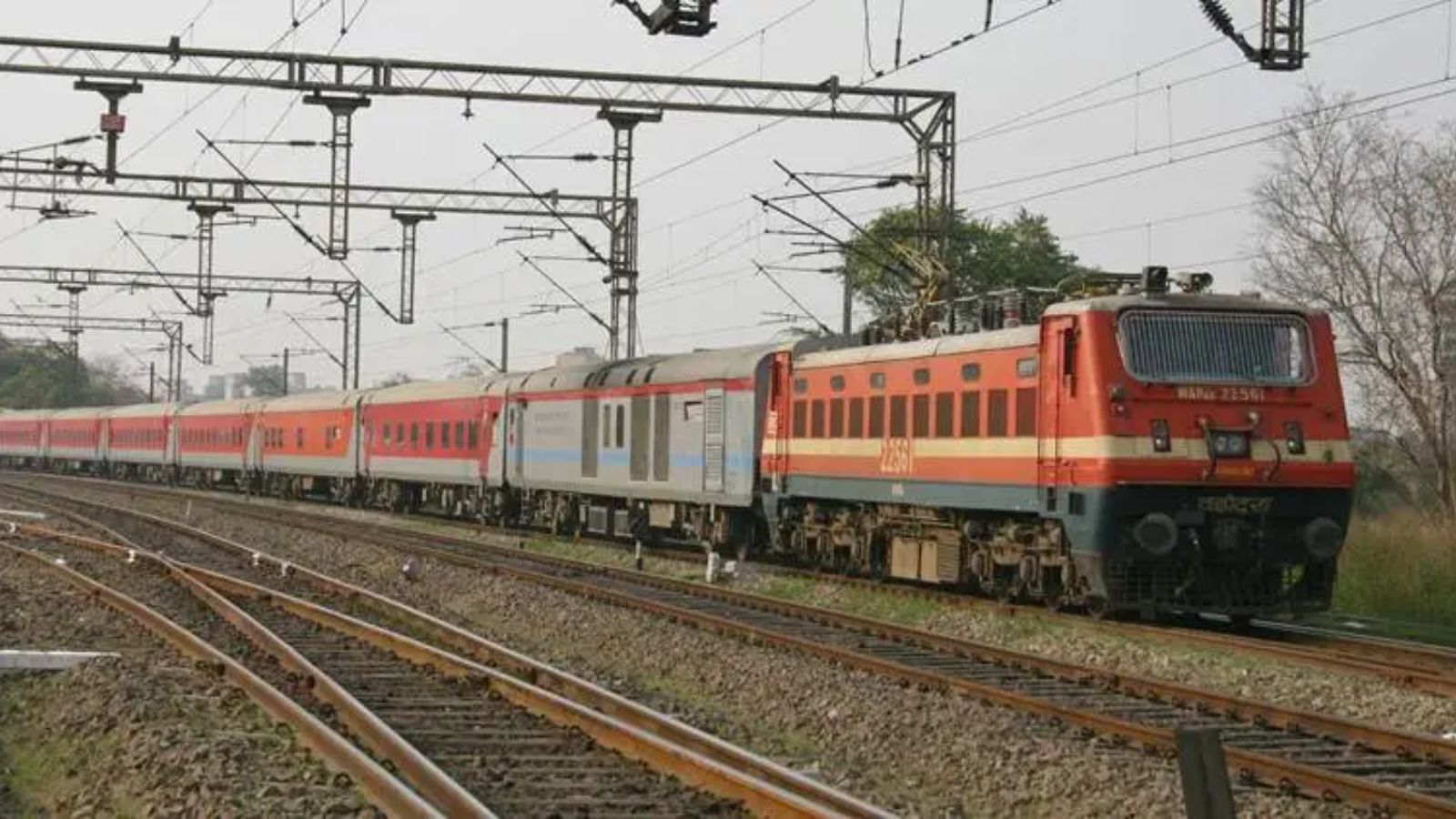 Snake sighting on Pune-Danapur express train sparks panic