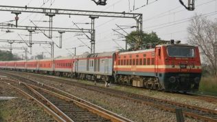 snake in Pune-Danapur Express, snake,
