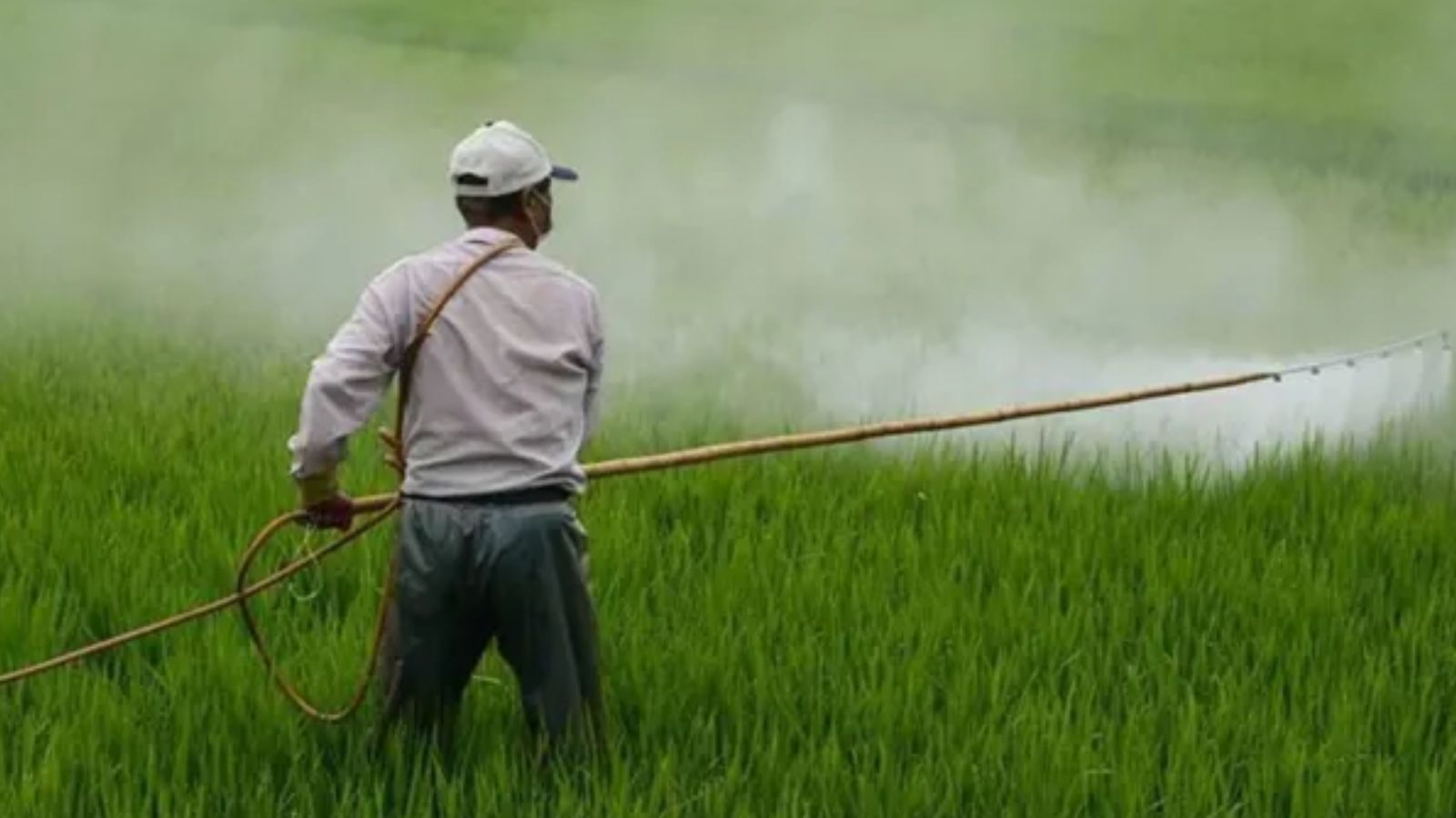 India locks in fresh urea imports of 1.7 million tonnes