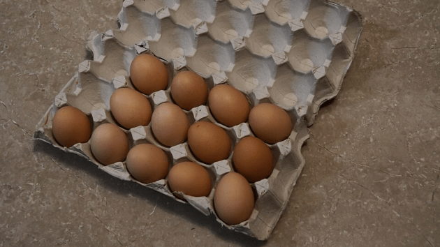 eggs