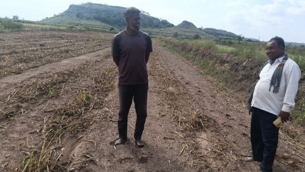 Maharashtra droiught farmers crop loss