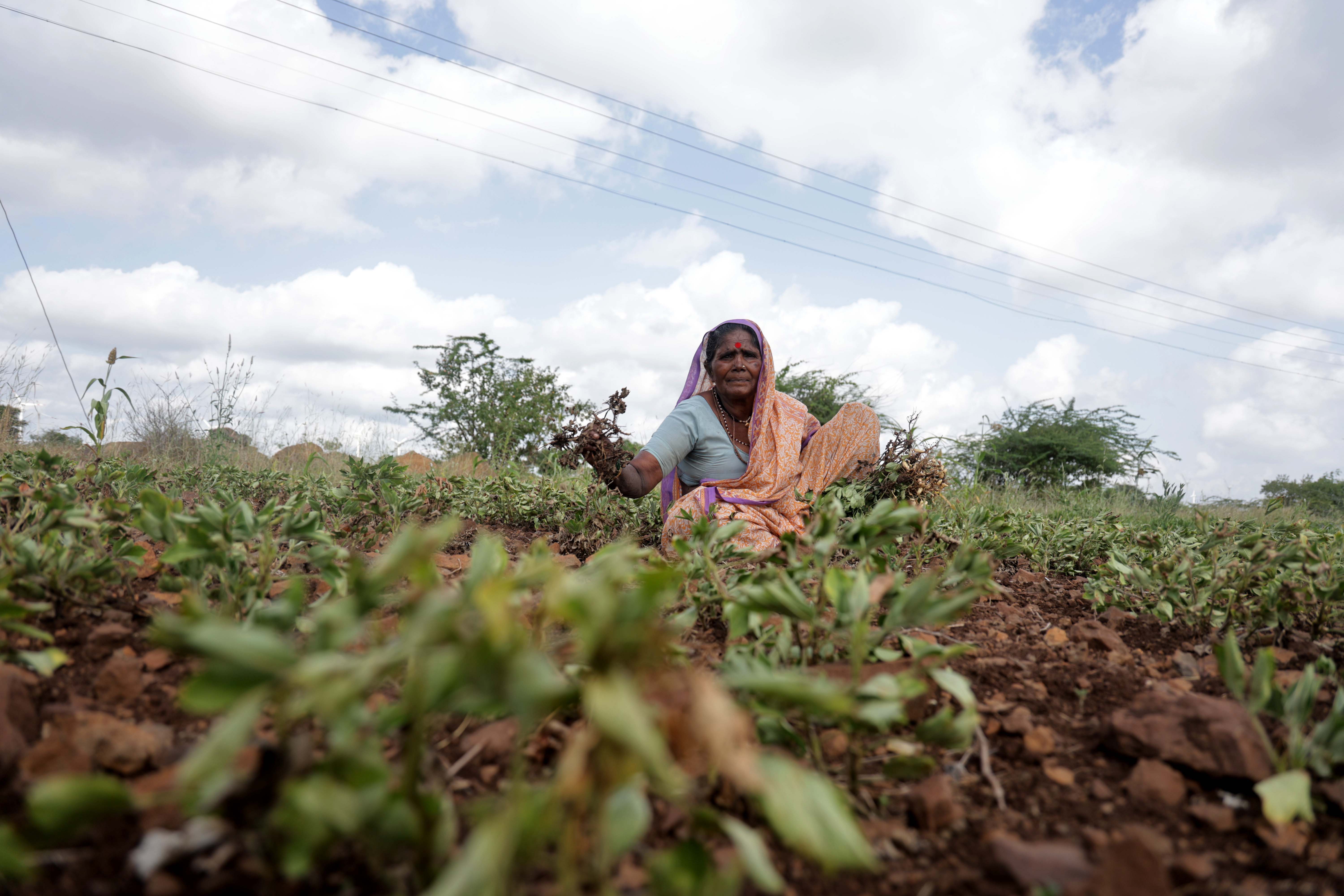 In this drought-hit taluka of Maharashtra, monsoon came, but a long dry spell followed