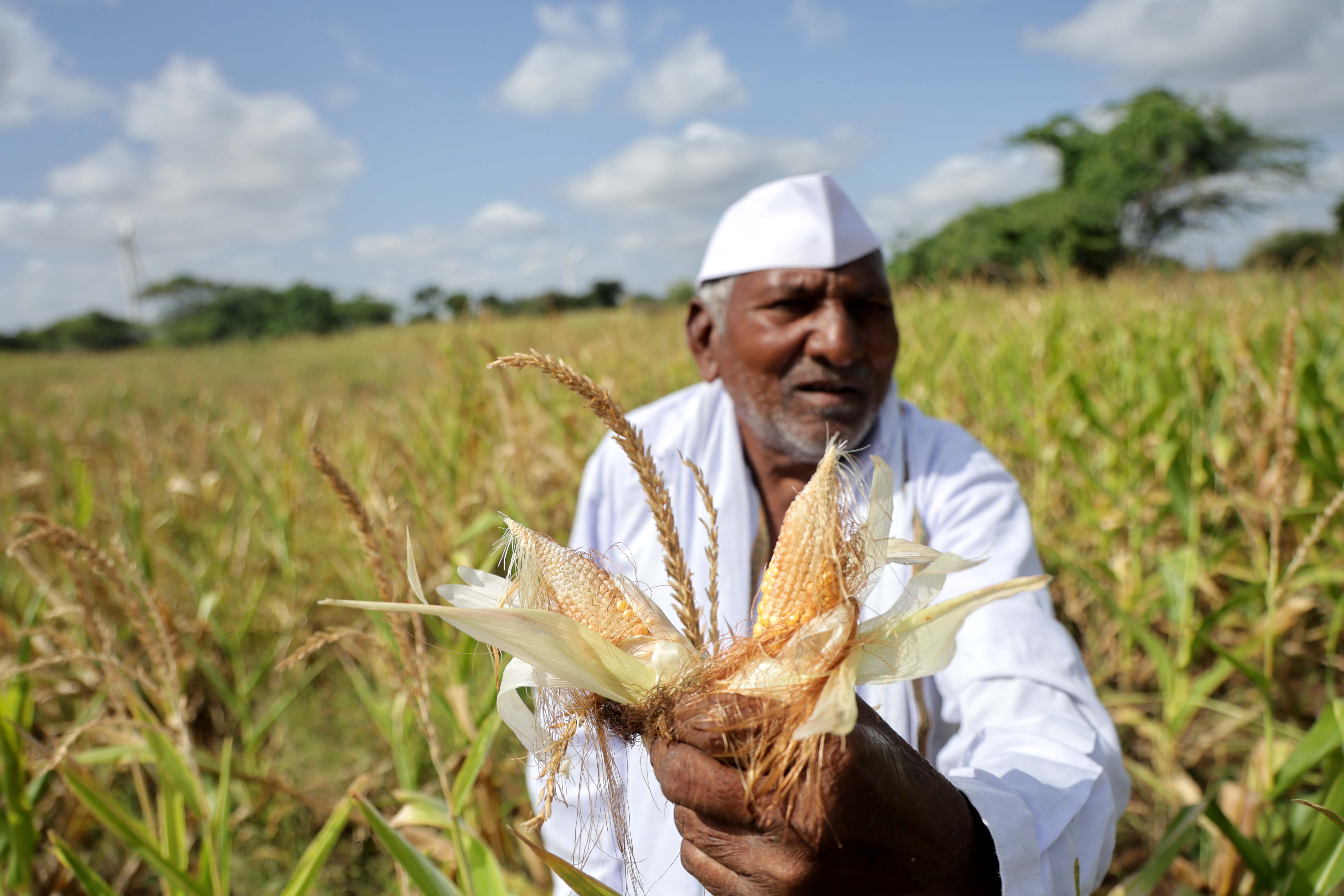 In this drought-hit taluka of Maharashtra, monsoon came, but a long dry spell followed