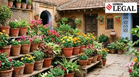 Alcohol Ban Bihar Patna High Court Seizure Flower Pots Court Legal News bail