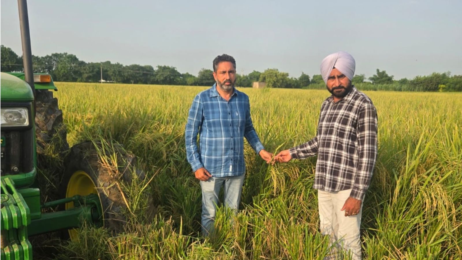 Six years without stubble burning: Barnala brothers’ 3-crop model on 105 acres