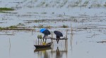 Two countries and a shared river: Mistrust is not inevitable
