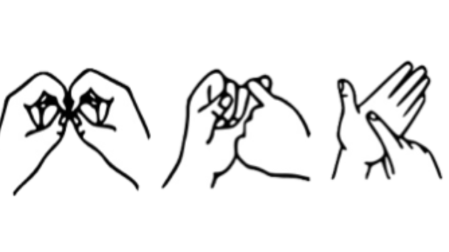 sign languages