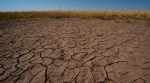1972 Maharashtra drought, Memories of 1972 Maharashtra drought, Maharashtra rainfall deficit Marathwada Vidarbha, Maharashtra soybean yield drop drought 2026, Marathwada crop crisis arhar tur price, El Nino impact Maharashtra rabi sowing, Maharashtra drought, Maharashtra drought crisis, Maharashtra government, Maharashtra monsoon, Maharashtra monsoon season, Maharashtra regional variation in rainfall, Mumbai news, Maharashtra news, Indian express, current affairs