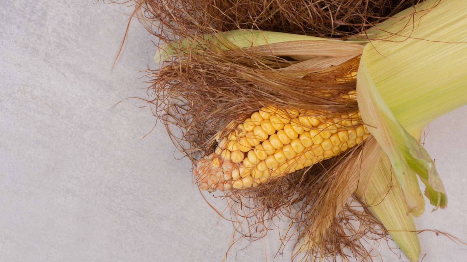 Corn hair is being called a kidney remedy: What science actually says – national Corn hair is being called a kidney remedy: What science actually says – national