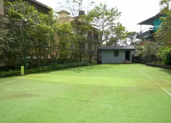 Cricket pitch