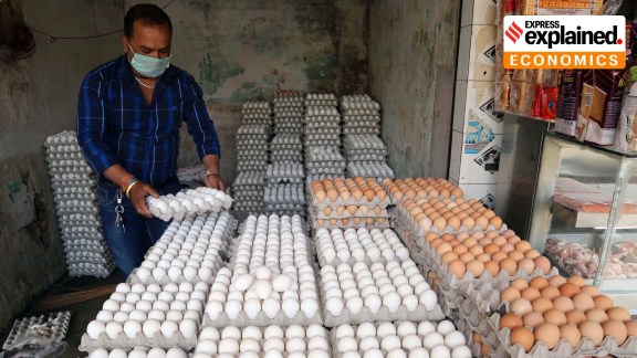 eggs