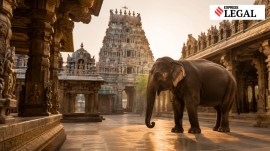 Elephant Madras High Court Ban Wildlife and forest officials