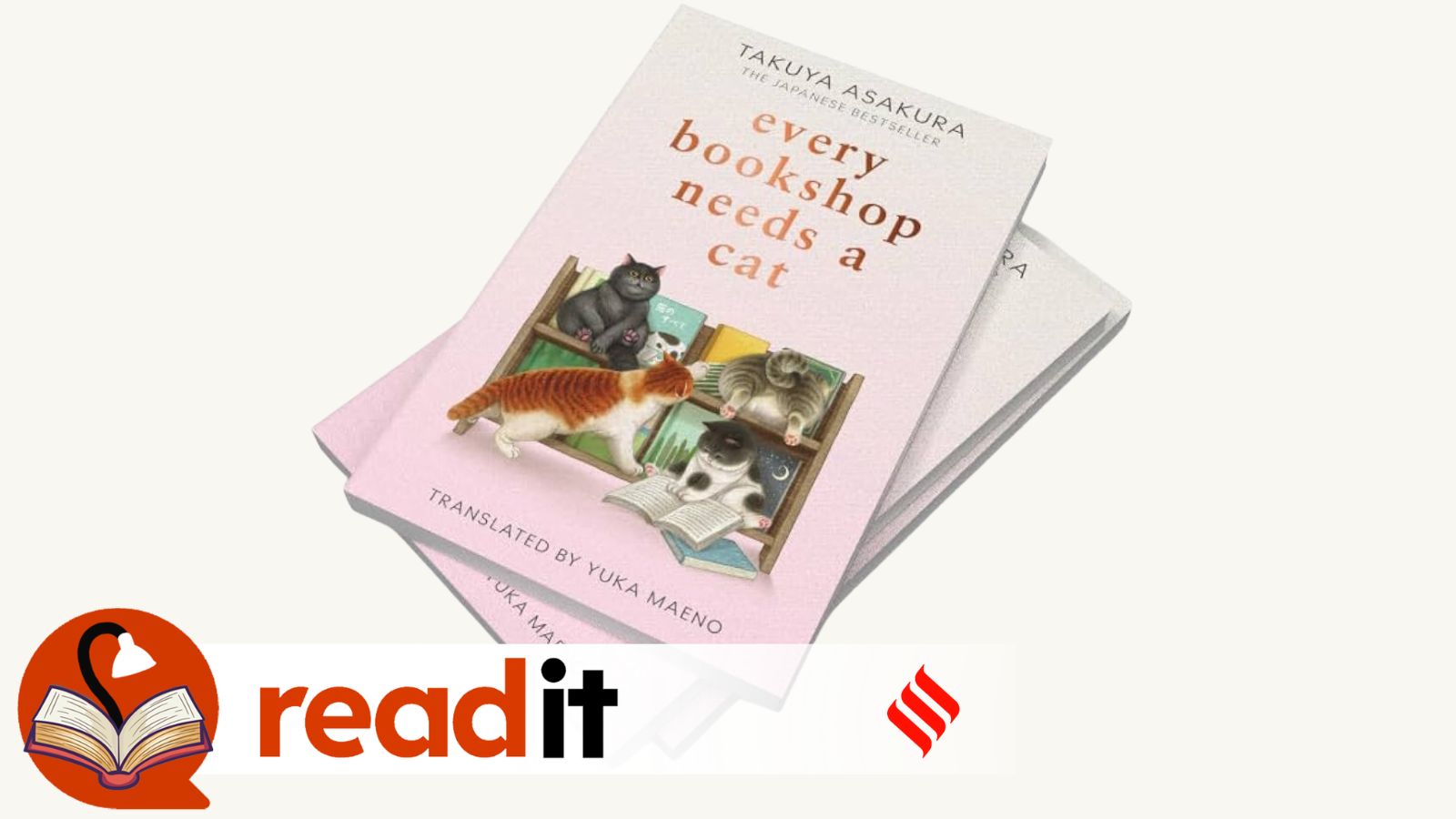 Feeling lost? Every Bookshop Needs a Cat might be just the comfort read for you