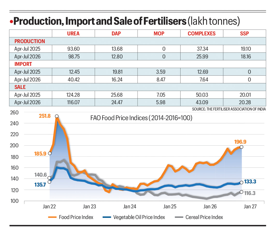 Why food prices may rise and stay elevated