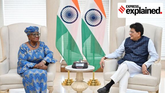 India WTO