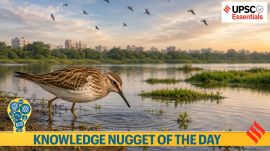 Knowledge Nugget: Why is the rare Sharp-tailed Sandpiper’s sighting in Delhi significant?