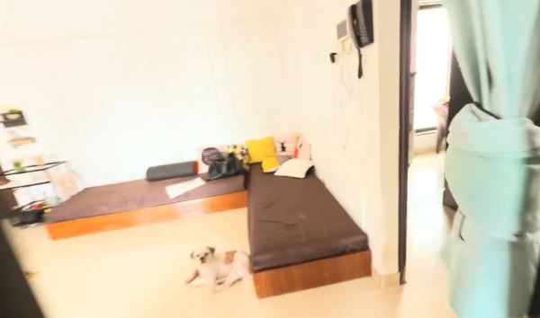 Aanchal Khurana's living room.