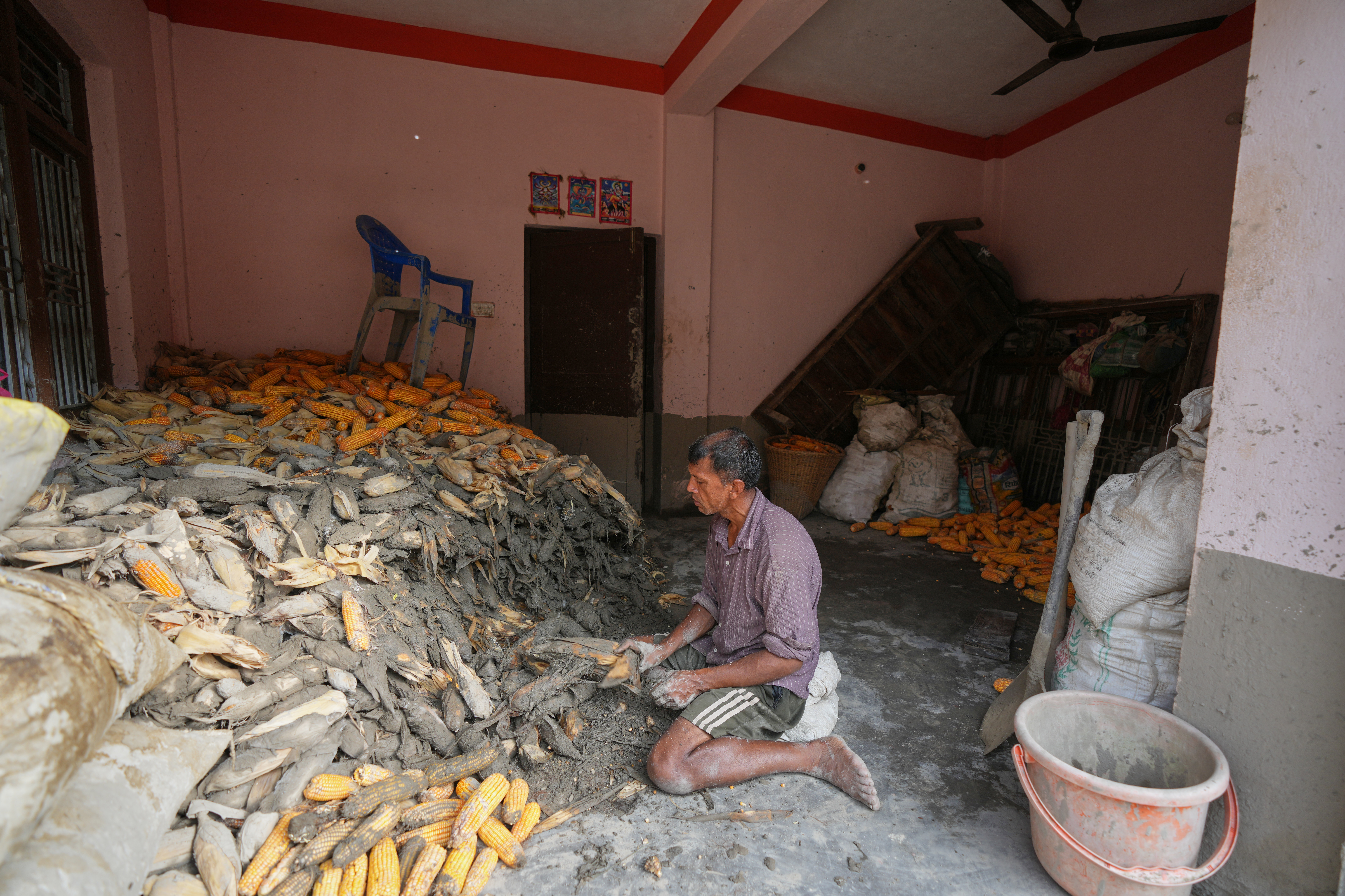 A farmer cleans his corn crop after flash floods in Nepal’s Nuwakot district on Saturday, Aug. 29, 2026. (AP Photo)