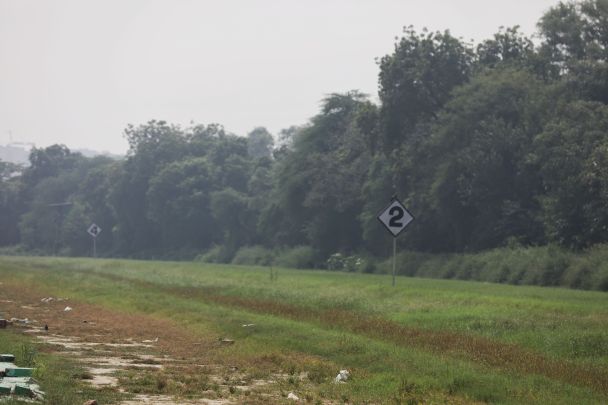 ‘Horses are gone, so is our work’: Human cost of Delhi Race Club takeover
