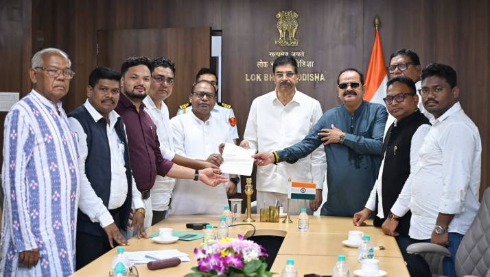 Odisha mining dilemma, Odisha mining, Odisha mining act amendments, Bhubaneswar, Naveen Patnaik, Mining, federalism, Odisha bjp, Mines and Minerals (Development and Regulation) Act, Indian express news, current affairs
