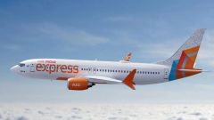 Suspected bird hit disrupts Air India Express Pune-Chandigarh flight