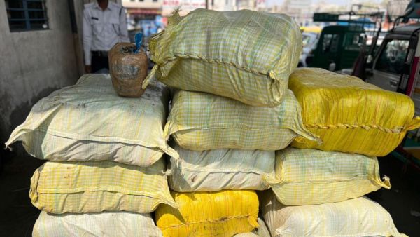 In February 2026, Ahmedabad Crime Branch seized 400 kg of ganja worth Rs 2 crore allegedly hidden in sacks of onions. Archive