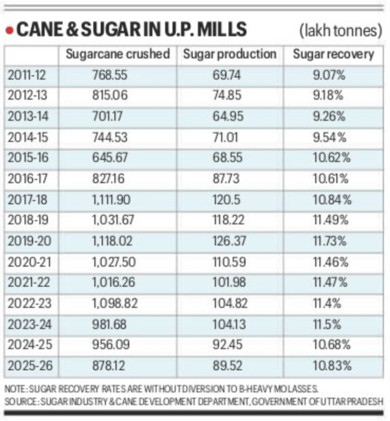 As UP’s sugar output plunges, hopes on a new cane variety