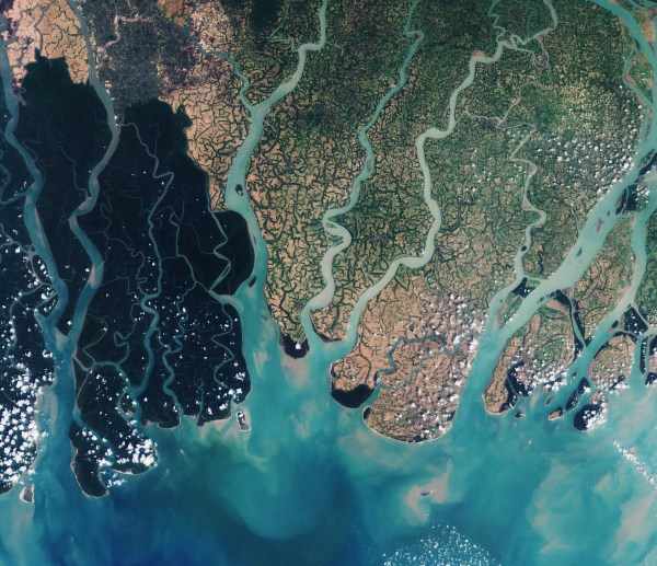 A satellite view of the Sundarbans. (Wikimedia Commons)