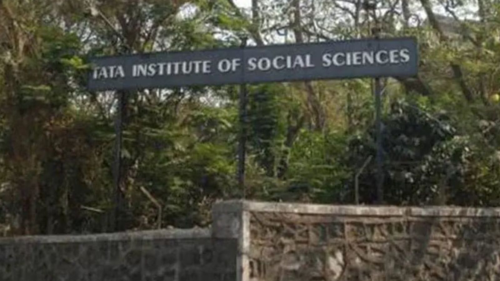 Bombay High Court reinstates TISS professor fired for ‘misconduct’, grants 50% back wages