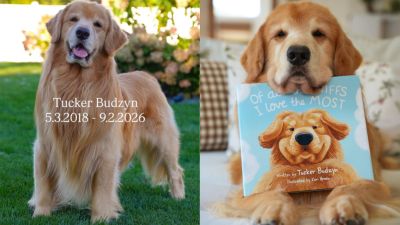 Tucker Budzyn