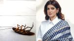 Twinkle Khanna pest spray to get rid of cockroaches